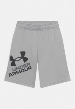 Under Armour PrototypeLogo- Korte Broeken - Grey